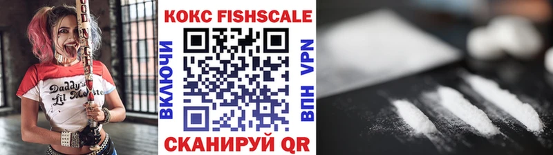 где купить   Олонец  COCAIN VHQ 