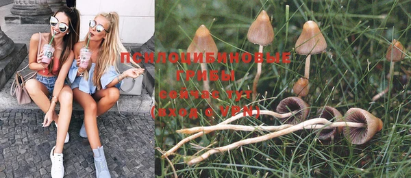 спиды Алзамай