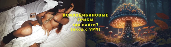 дмт Алексин