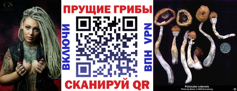 Псилоцибиновые грибы мицелий  Олонец 